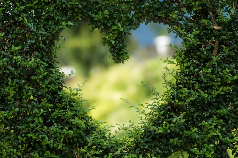 art-background-blur-255441 art-background-blur-255441